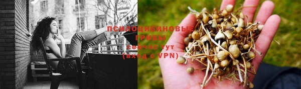 твердый Михайлов