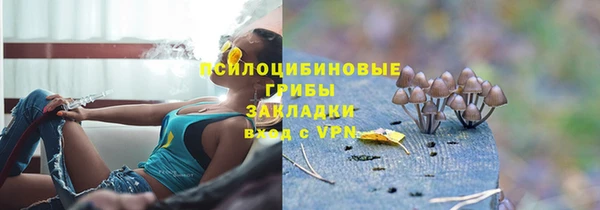 хмурый Надым