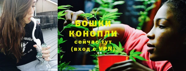 PSILOCYBIN Навашино