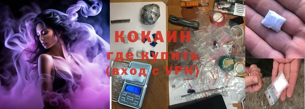 твердый Михайлов
