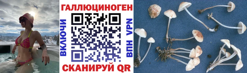 даркнет официальный сайт  даркнет сайт  Ленинградская  Галлюциногенные грибы мухоморы 